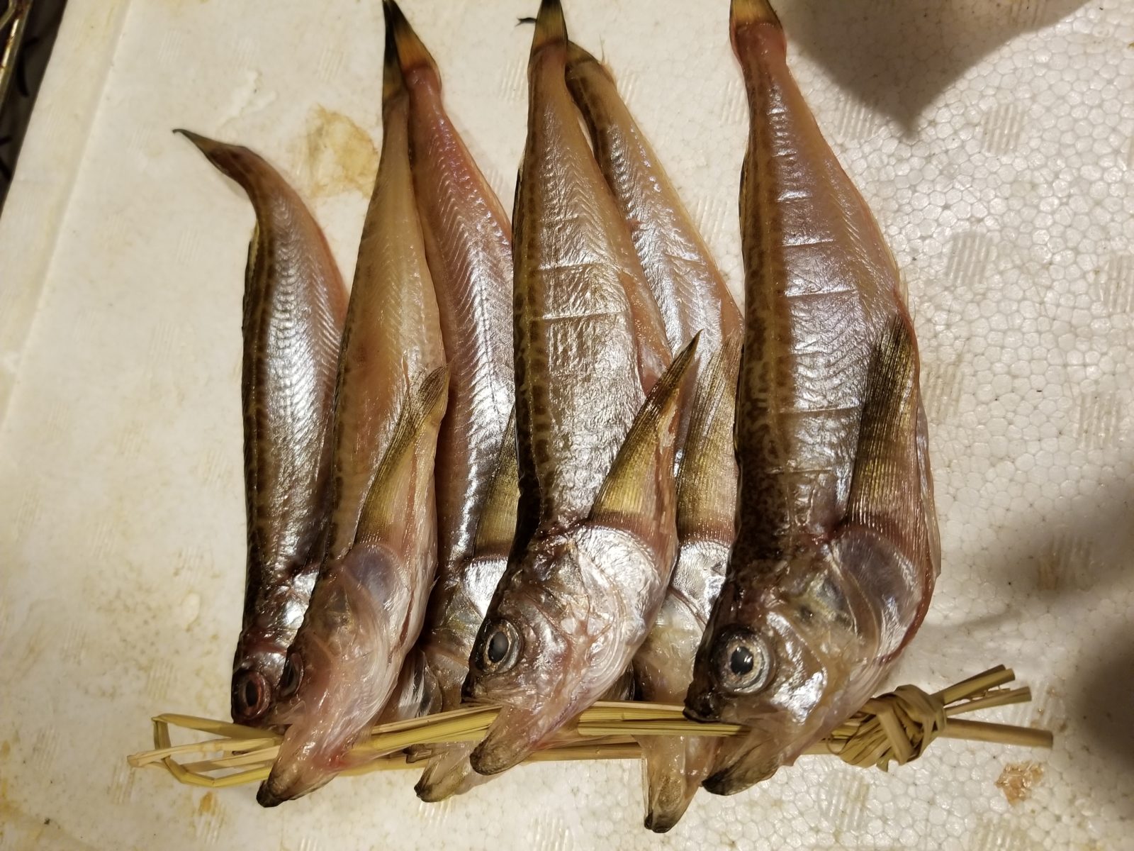 はたはた、鰰、入りました。 | 中野の小料理屋なら福島県産の日本酒が口コミで人気のゆきみさけへ